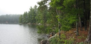 Trees and Rocky Shoreline