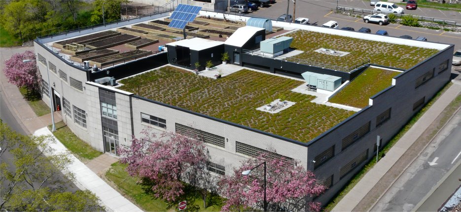 Duluth Motor Pool Green Roof